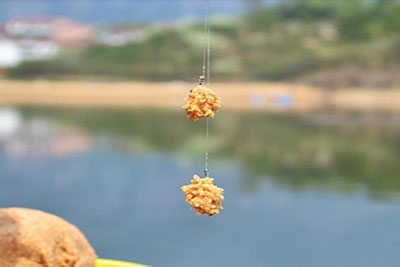 What are the precautions for fishing in summer
