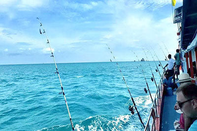 How to choose a fishing position for sea fishing