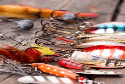 See the time to master the fish's work and rest time