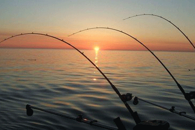 Hairhook fishing